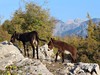 7-Albánie-turistický zájezd